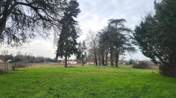 Offres de vente Terrain Ménesplet 24700