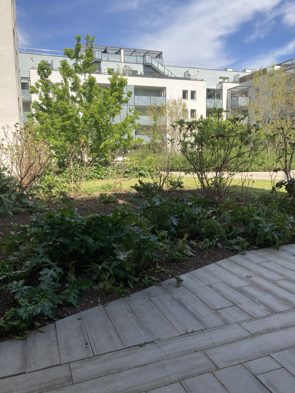 Offres de location Rez de jardin Vénissieux 69200